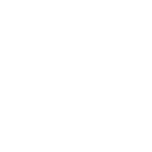 Wordpress Wordpress